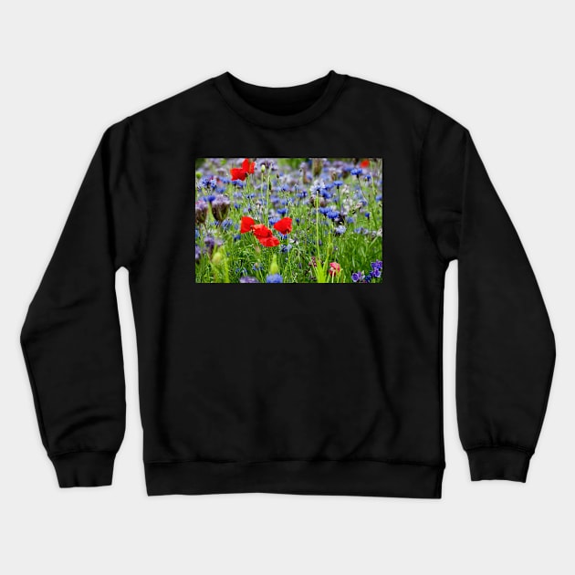 Poppies and Cornflowers growing wild Crewneck Sweatshirt by Violaman